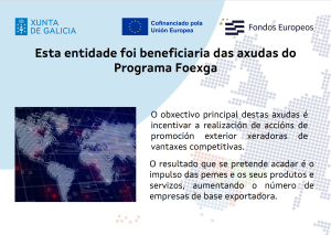 Cartel Ayudas IGAPE FOEXGA